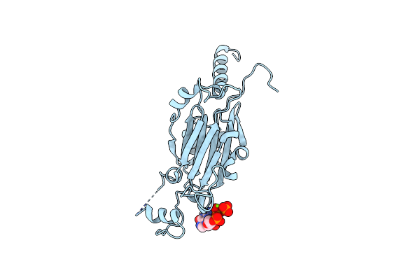 8QPH image