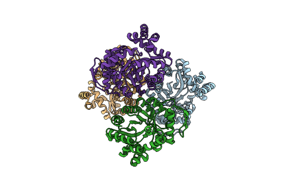 8QPM image