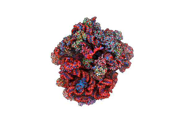 8QPP image