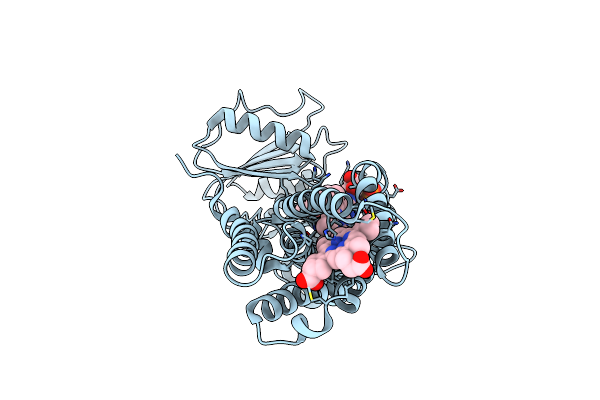 8QQ7 image