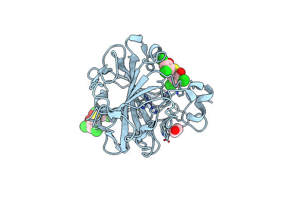 8QQA image