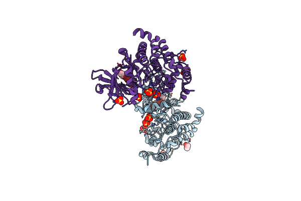 8QQB image