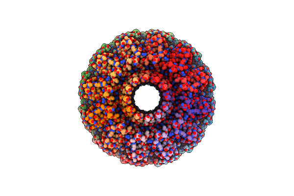 8QQN image