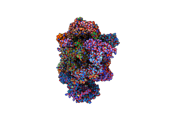 8QRL image