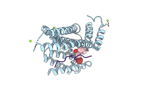 8QSA image
