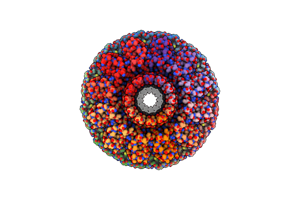 8QSI image
