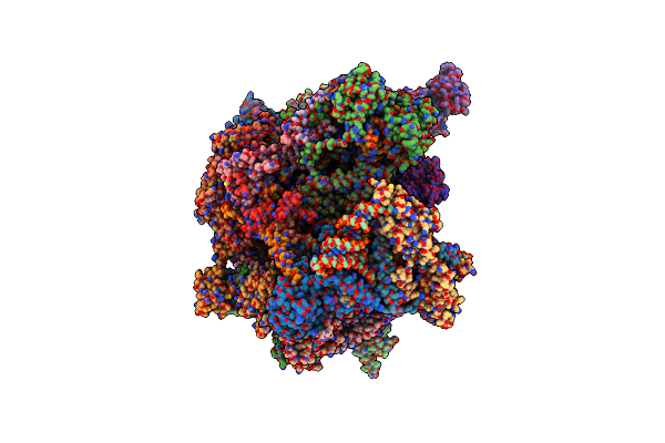 8QSJ image