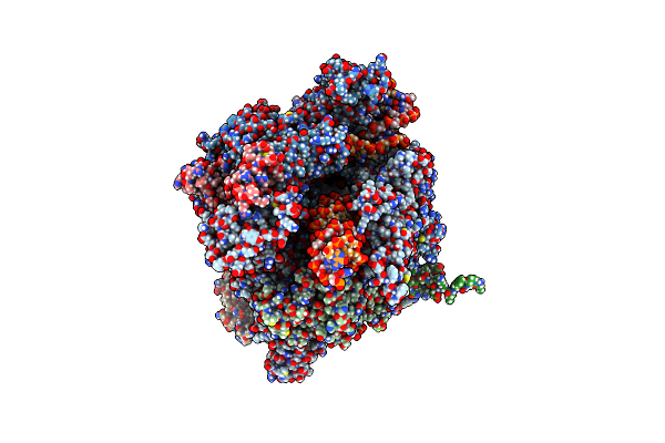 8QSZ image