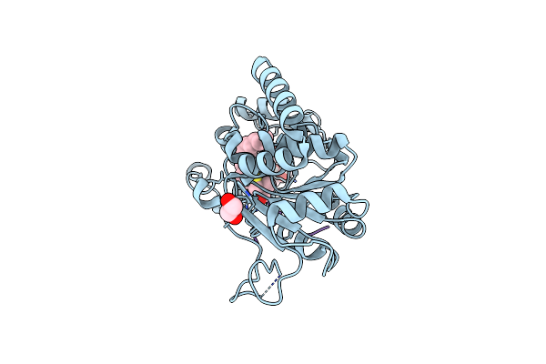 8QT2 image