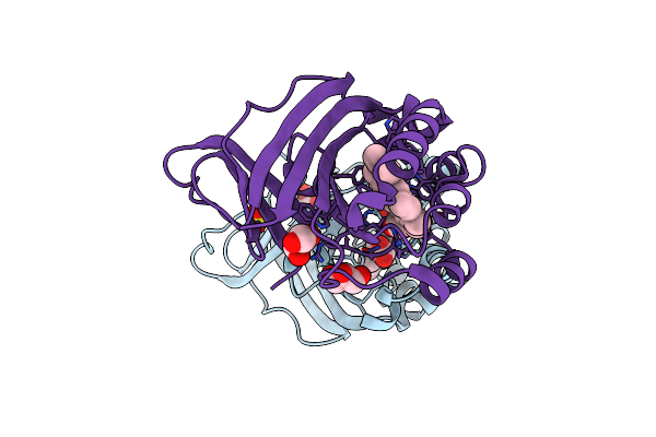 8QUV image