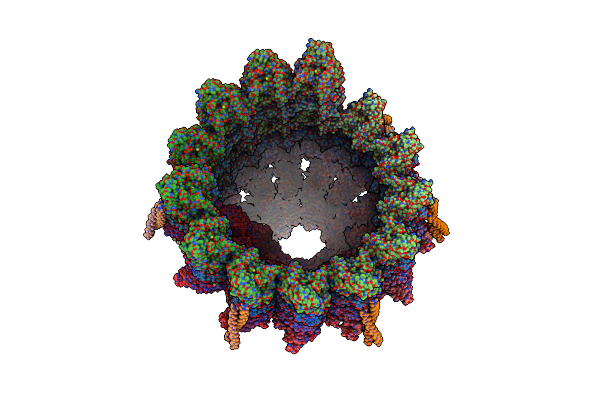 8QV2 image