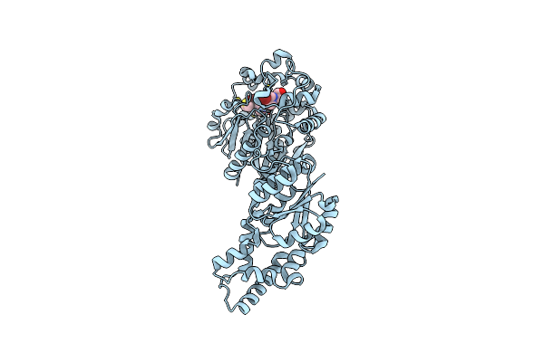 8QVL image