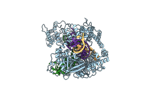 8QWE image