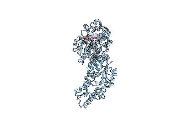 8QWI image