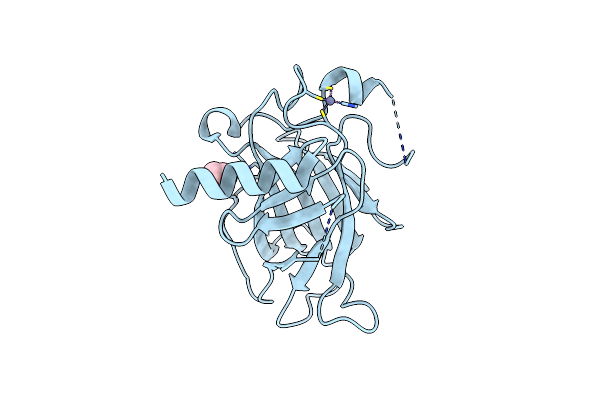 8QWK image