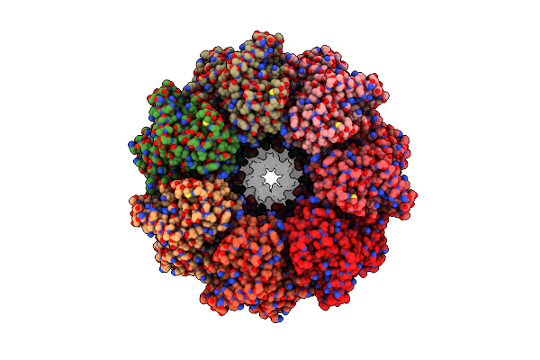 8QXT image