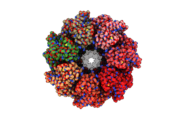 8QXV image