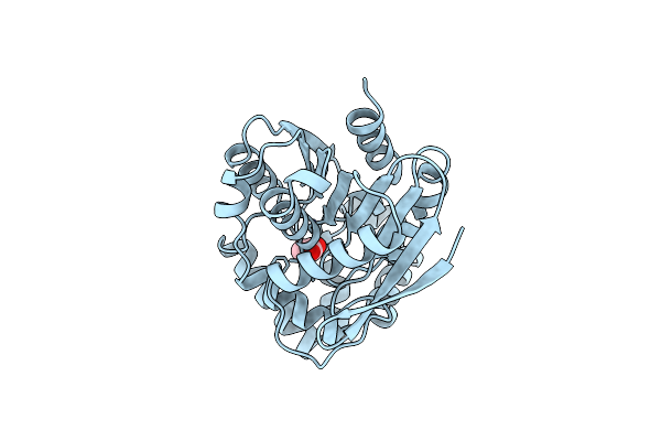 8QZU image