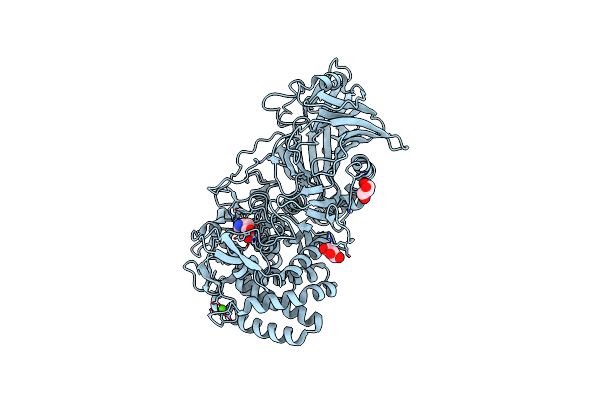 8R06 image