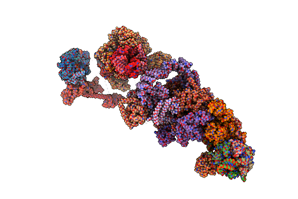 8R0B image