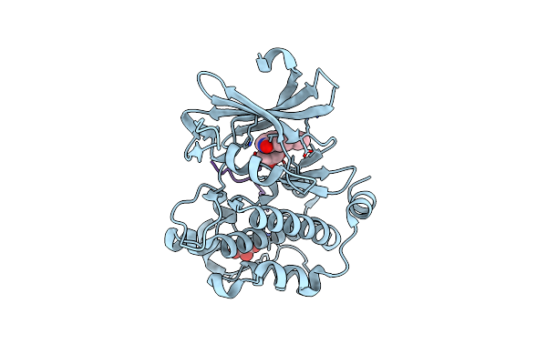 8R0H image