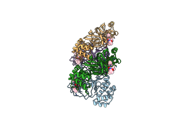 8R0V image