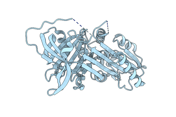 8R13 image