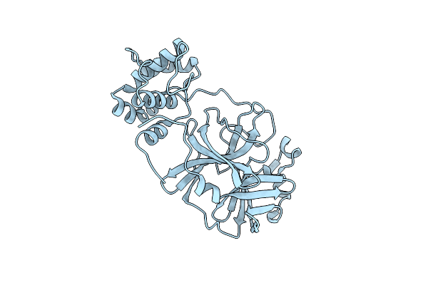 8R19 image