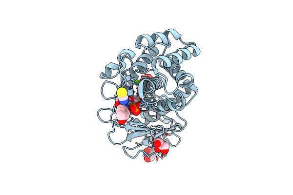 8R1B image