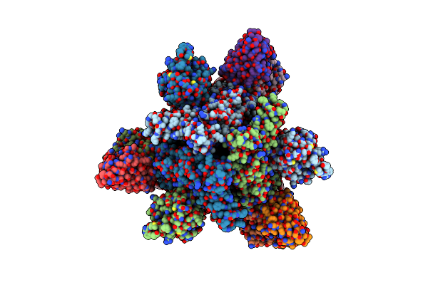 8R1C image