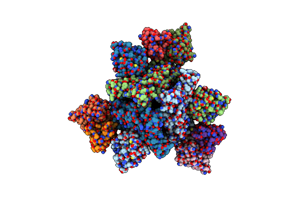 8R1D image