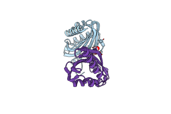 8R20 image
