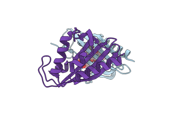 8R2B image