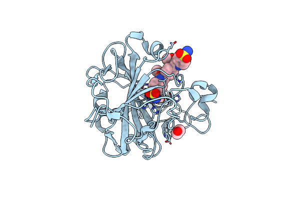 8R2F image