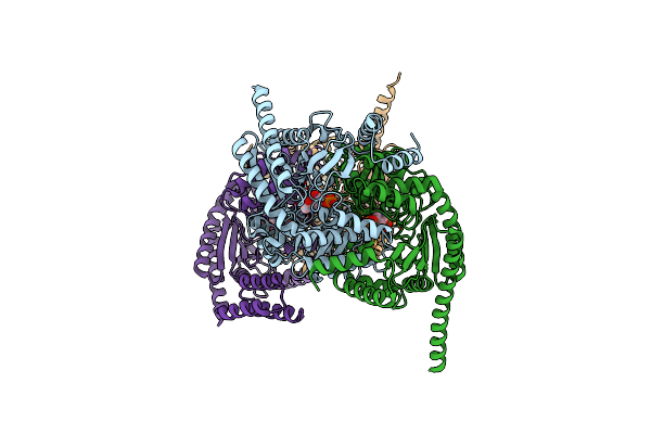 8R2P image