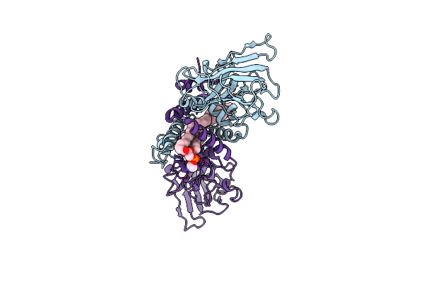 8R2X image