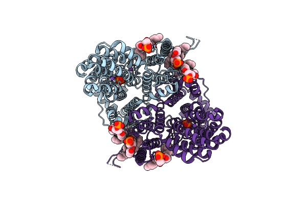 8R34 image