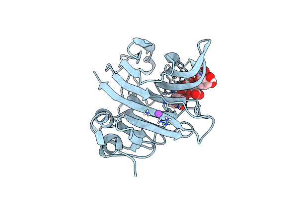 8R43 image