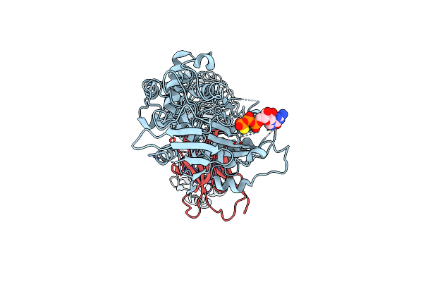 8R4B image