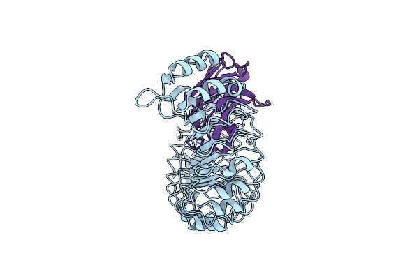 8R4C image