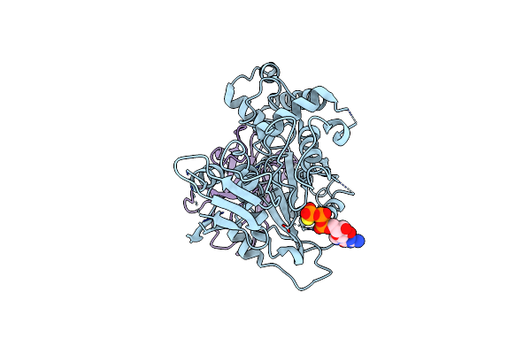8R4D image