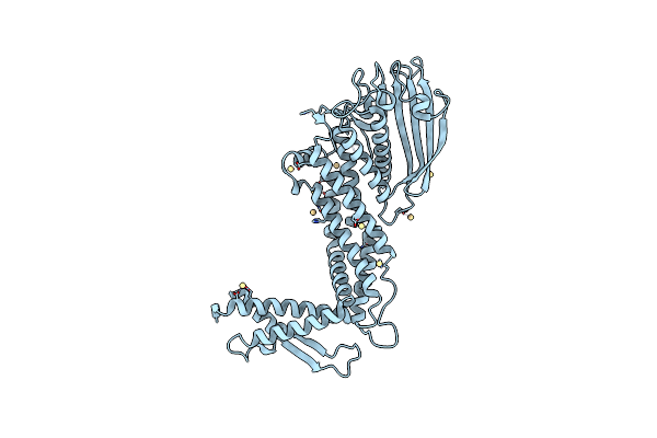 8R4P image