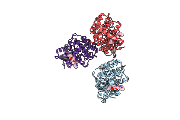 8R4V image