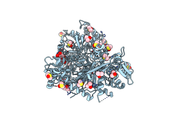 8R52 image