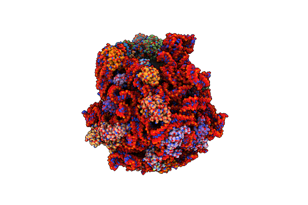 8R55 image