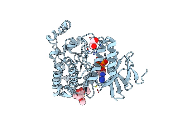 8R5E image