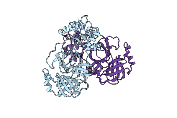 8R5J image