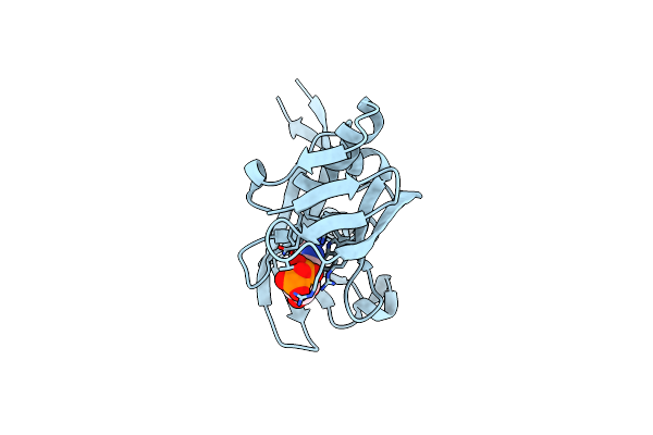 8R6B image