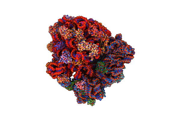 8R6C image