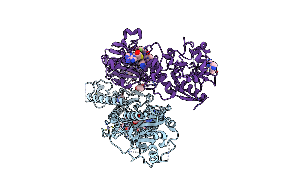 8R7B image